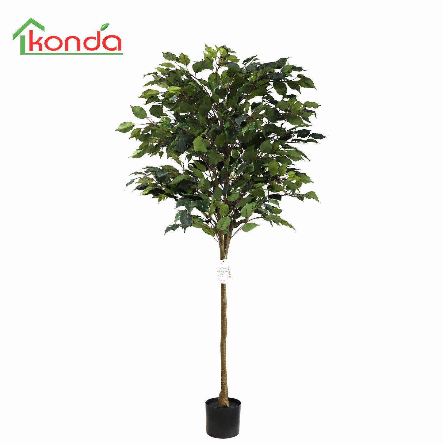 A219160-FR Ficus tree(KD) H160cm