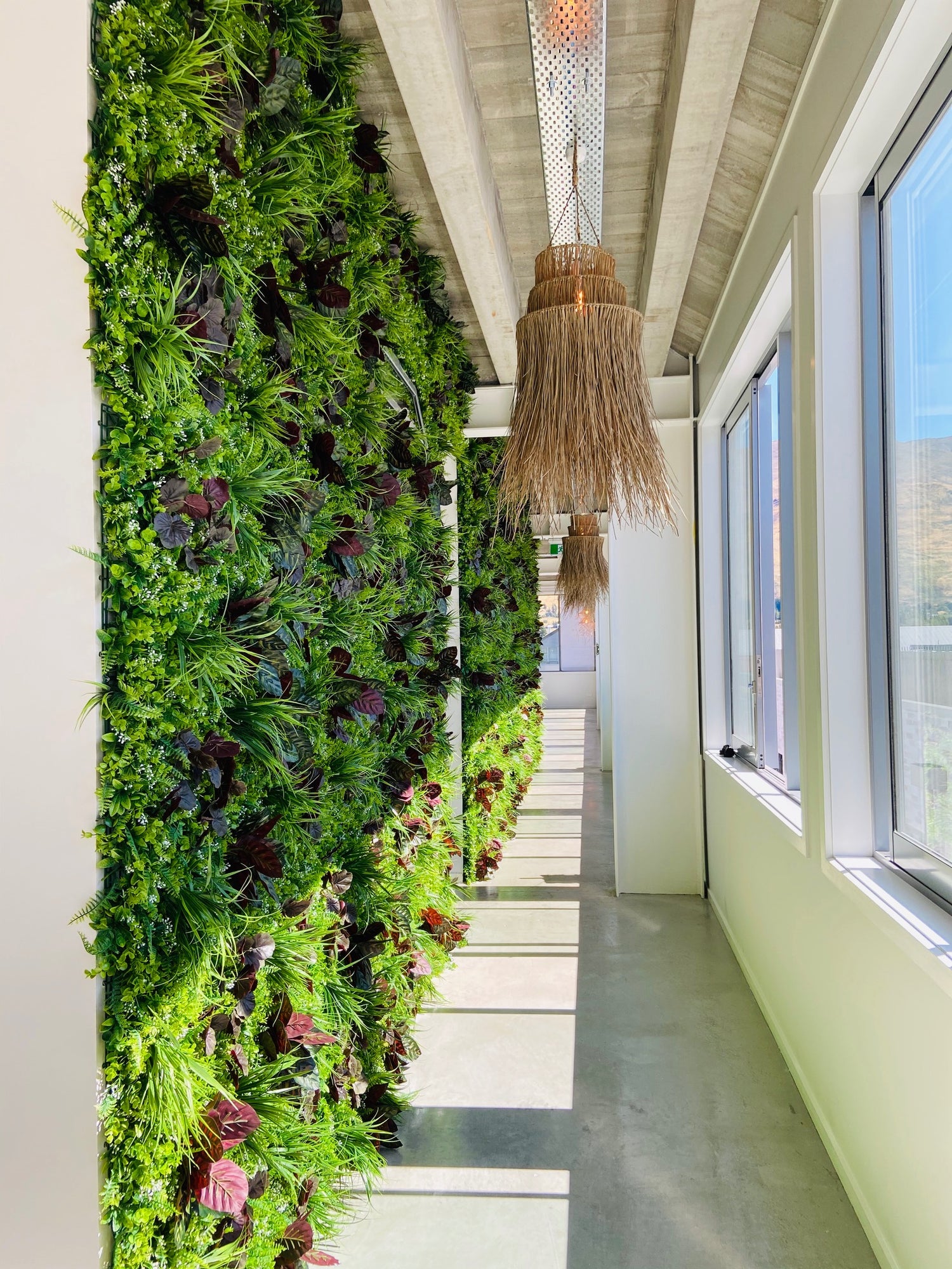 Plant Wall