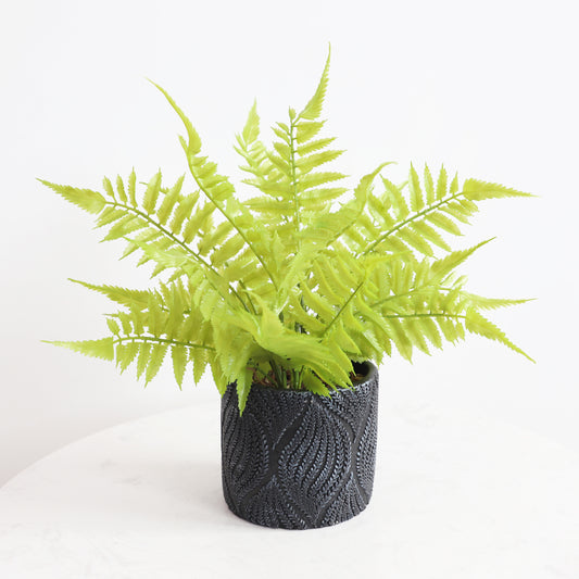 KA1005/Potted Fern/H39*45cm