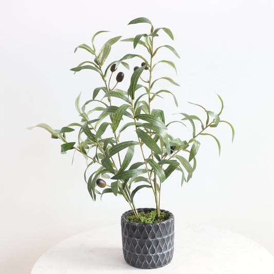 KA1006/Olive tree/H73*40cm