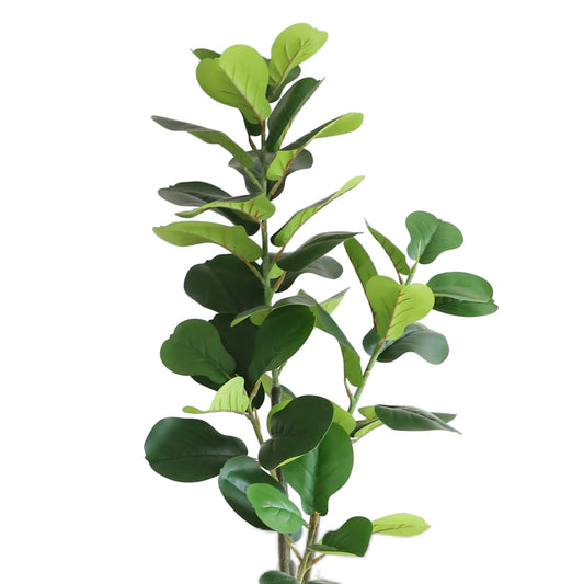 A601150 Fiddle tree H150CM
