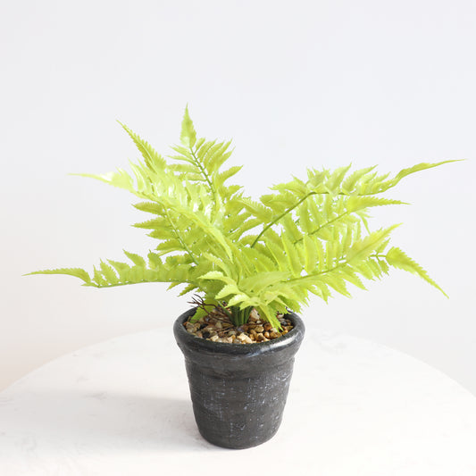 KA1014/Potted Fern/H34*40cm