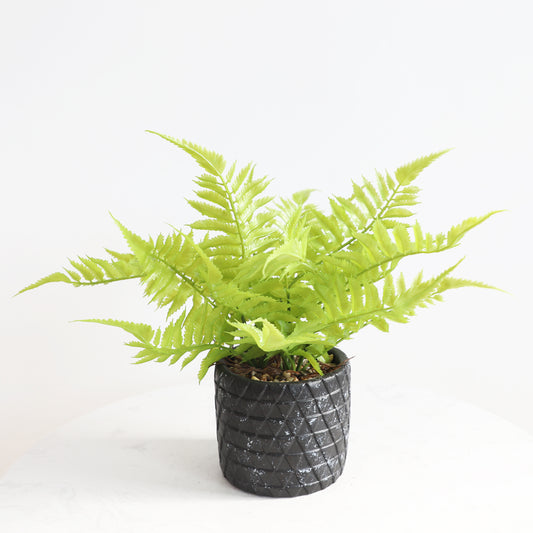 KA1009/Potted Fern/H36*40cm