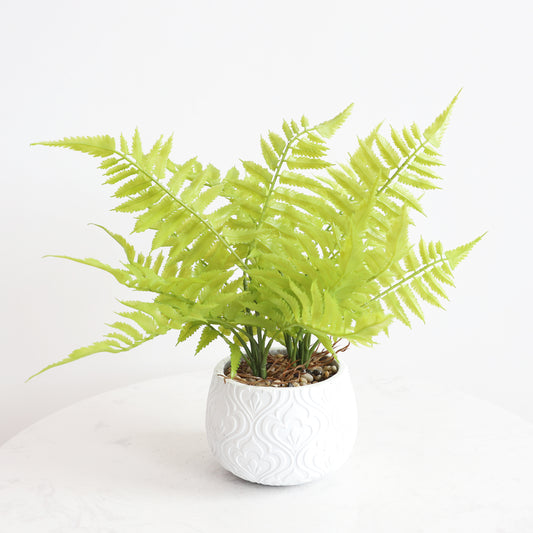 KA1007/Potted Fern/H39*45cm