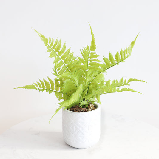 KA1011/Potted Fern/H34*40cm