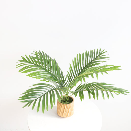 KA1015/Potted palm/H45*60cm