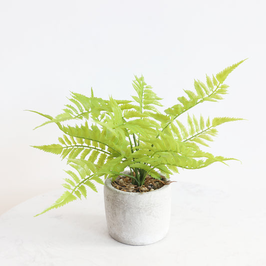 KA1013/Potted Fern/H36*40cm