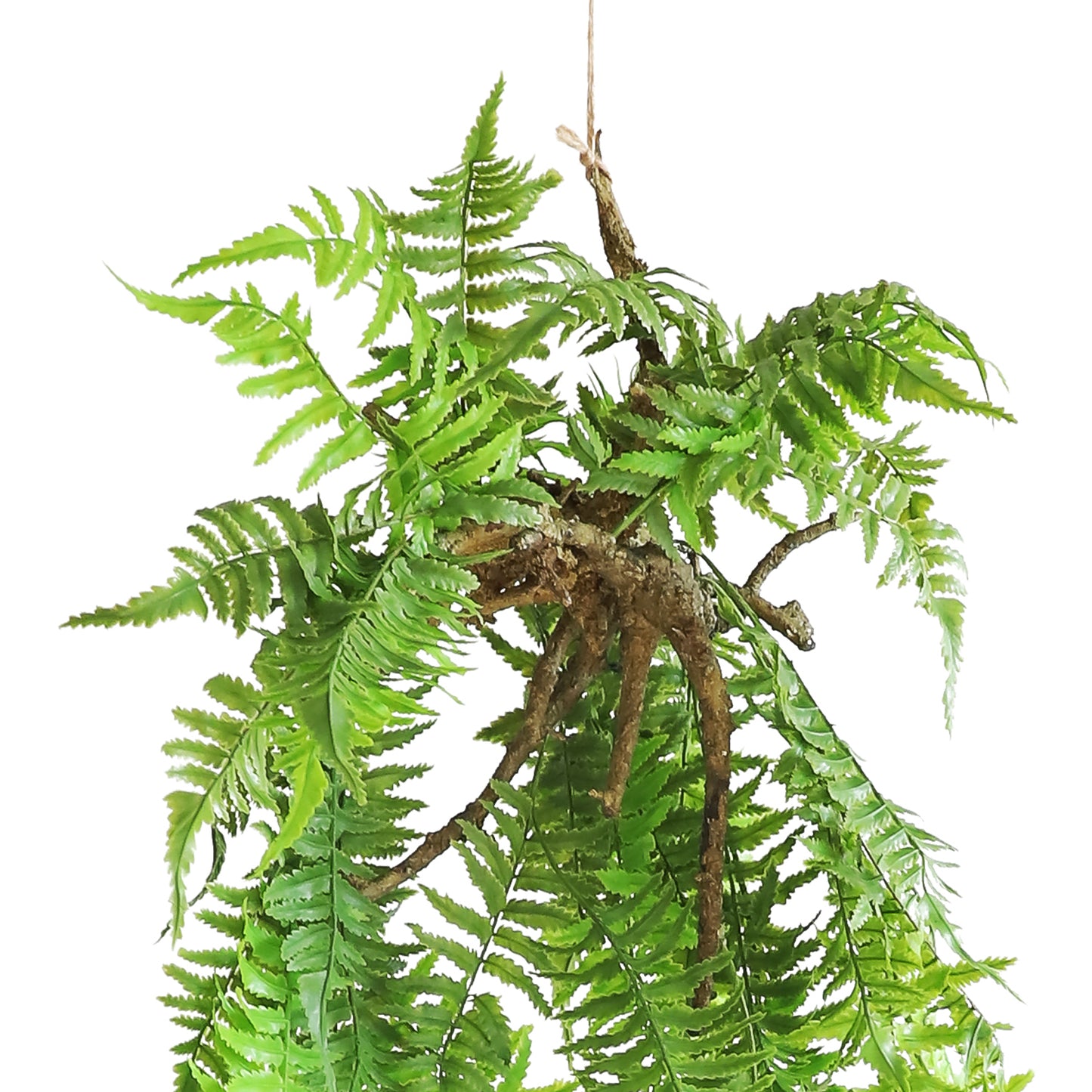 HA08125 Hanging Fern 凤尾蕨树头大吊挂 H125CM