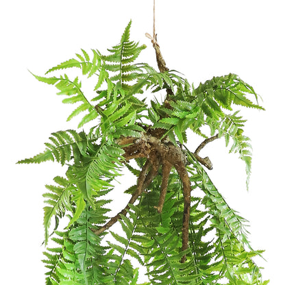 HA08125 Hanging Fern 凤尾蕨树头大吊挂 H125CM