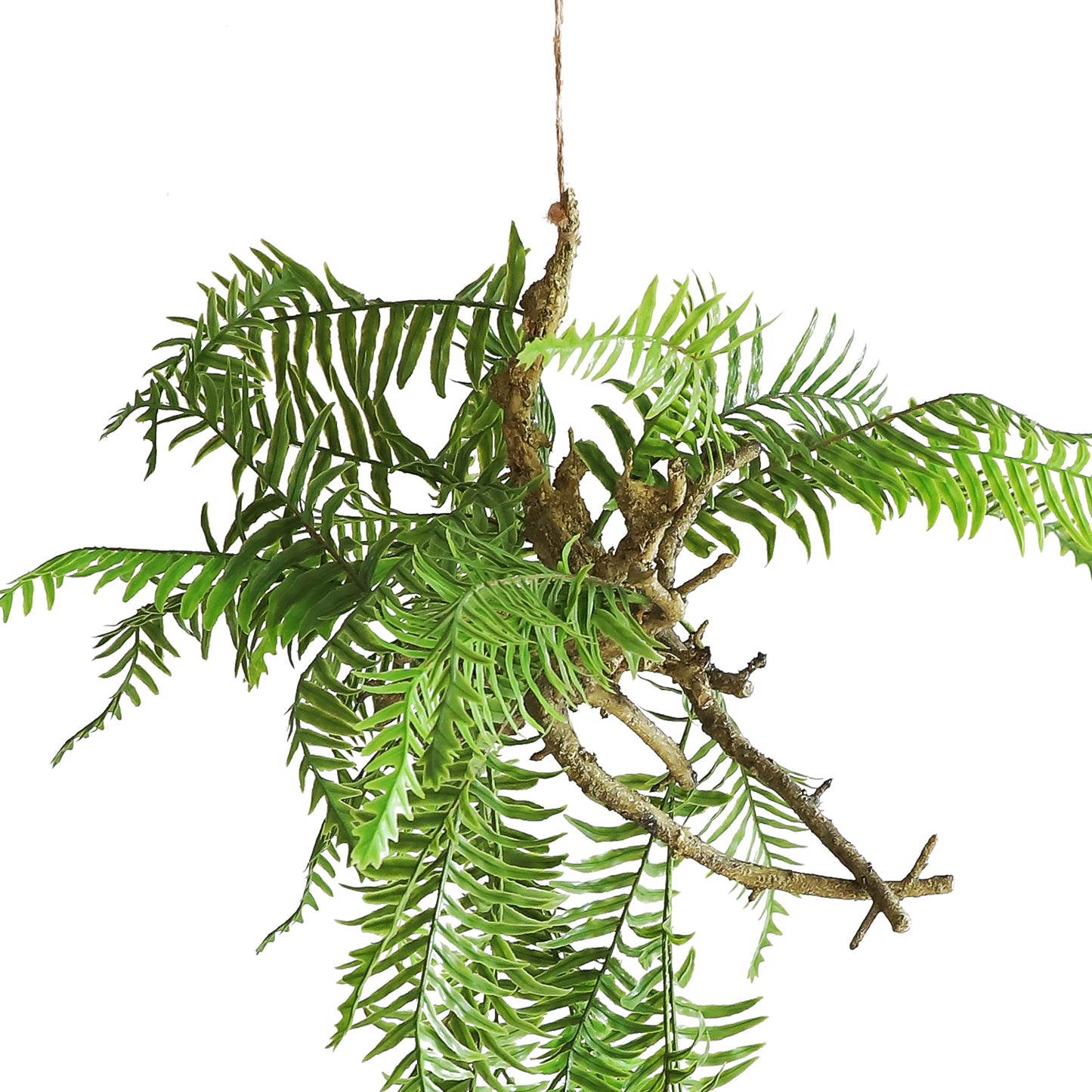HA01097 Hanging Fern 富贵蕨树头小吊挂 H97CM