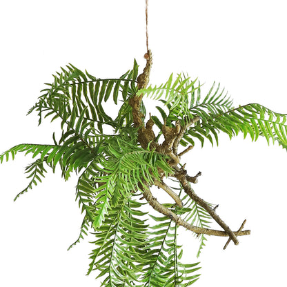 HA01097 Hanging Fern 富贵蕨树头小吊挂 H97CM