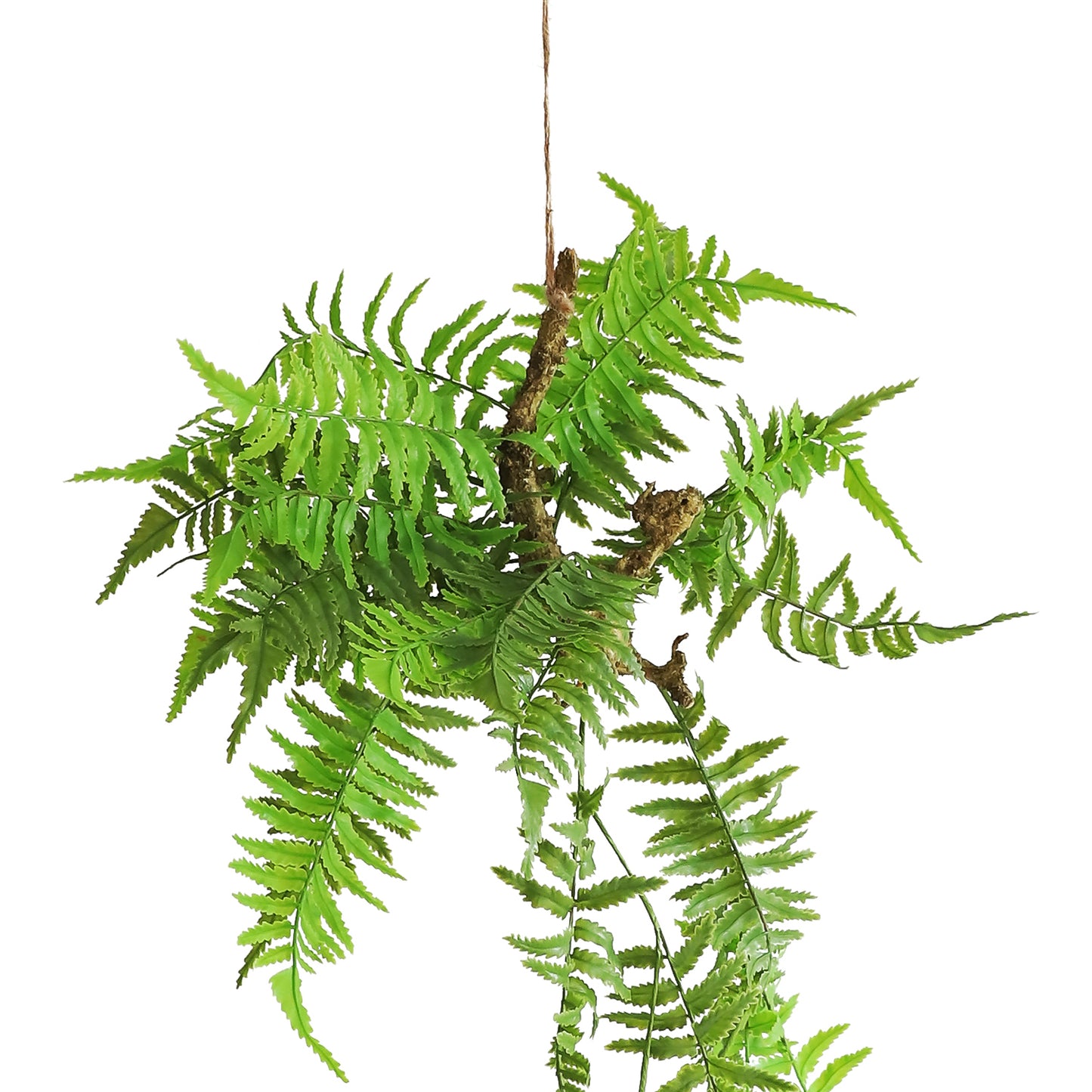 HA03079 Hanging Fern 波斯草树头小吊挂 H79CM