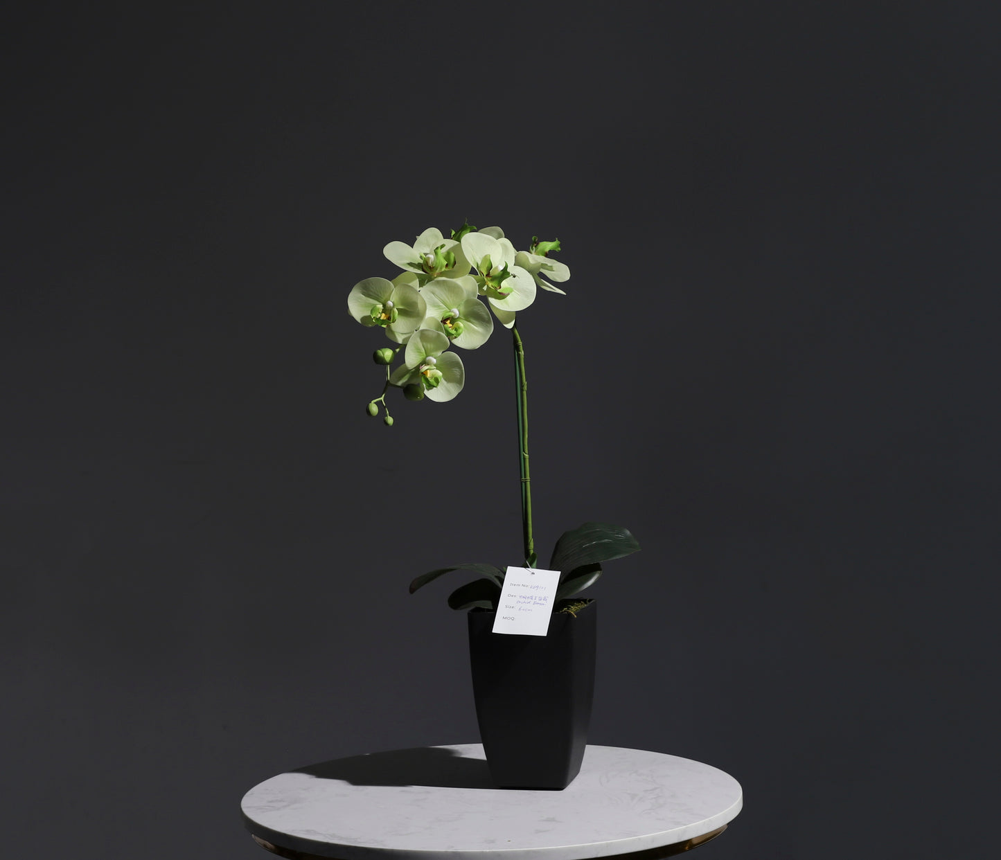 Artificial Orchid green color with square pot