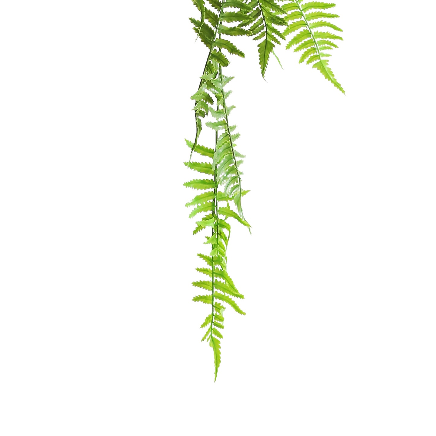 HA03079 Hanging Fern 波斯草树头小吊挂 H79CM
