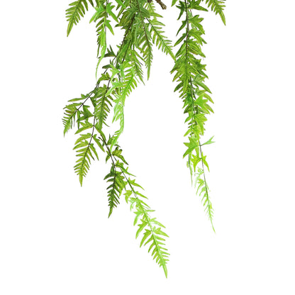 HA07097 Hanging Fern 凤尾蕨树头中吊挂 H97CM