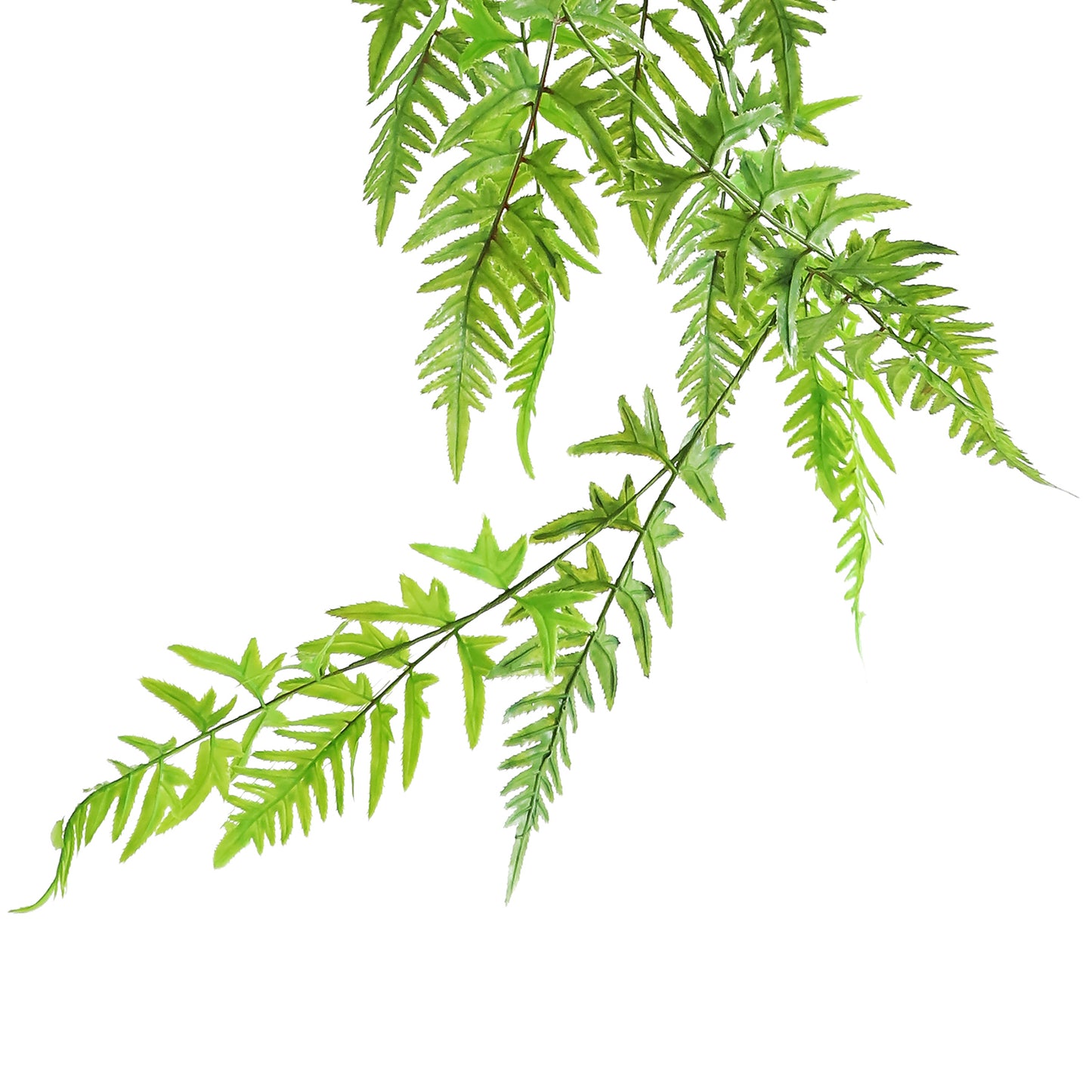 HA06079 Hanging Fern 凤尾蕨树头小吊挂 H79CM