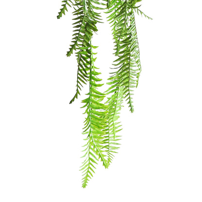 HA01097 Hanging Fern 富贵蕨树头小吊挂 H97CM