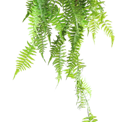 HA08125 Hanging Fern 凤尾蕨树头大吊挂 H125CM