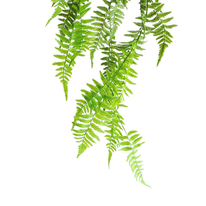 HA04097 Hanging Fern 波斯草树头中吊挂 H97CM