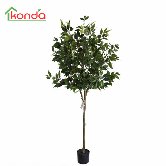 A218160-FR Ficus tree(KD) H160cm
