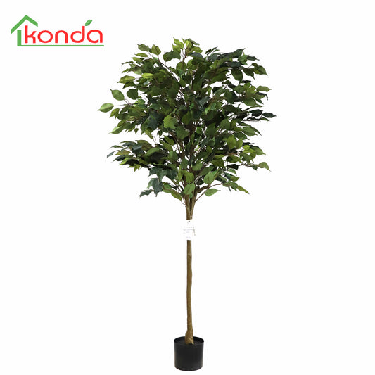 A219160-FR Ficus tree(KD) H160cm