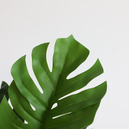 A308080 Monstera H80CM