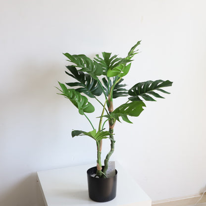 A309100 Monstera H100CM