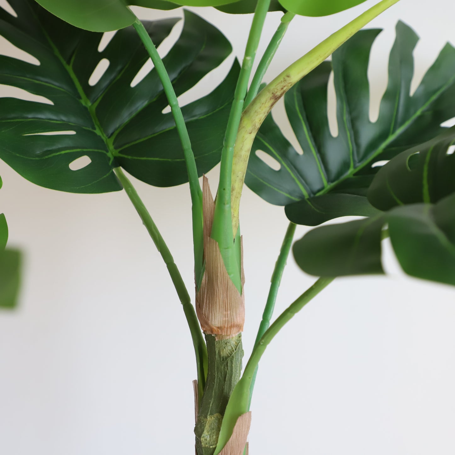 A309100 Monstera H100CM