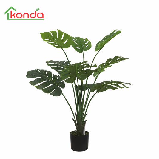A322090 Monstera H90cm