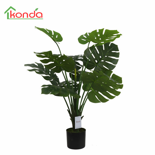 A323100 Monstera H100cm