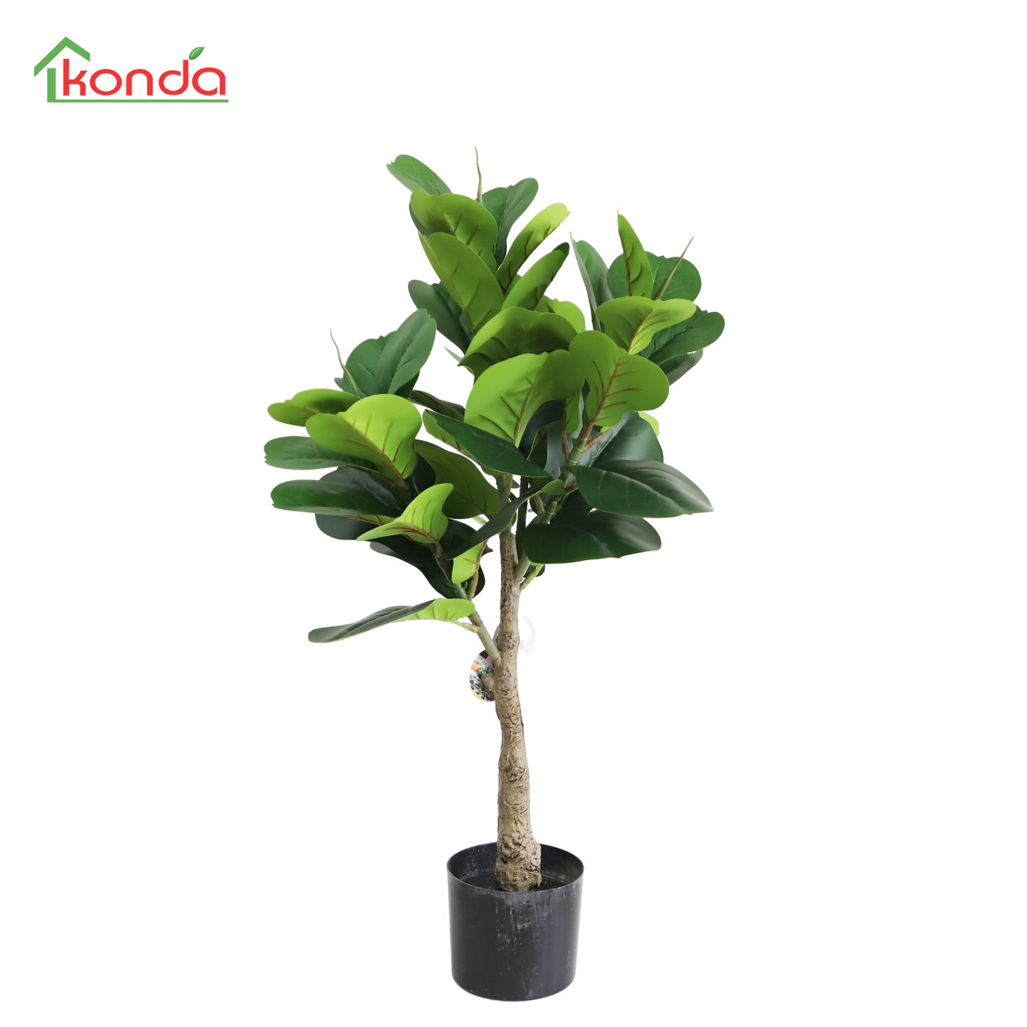 A600090 Fiddle tree H90CM