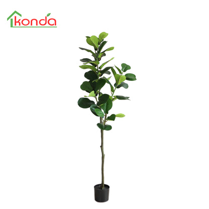A601150 Fiddle tree H150CM