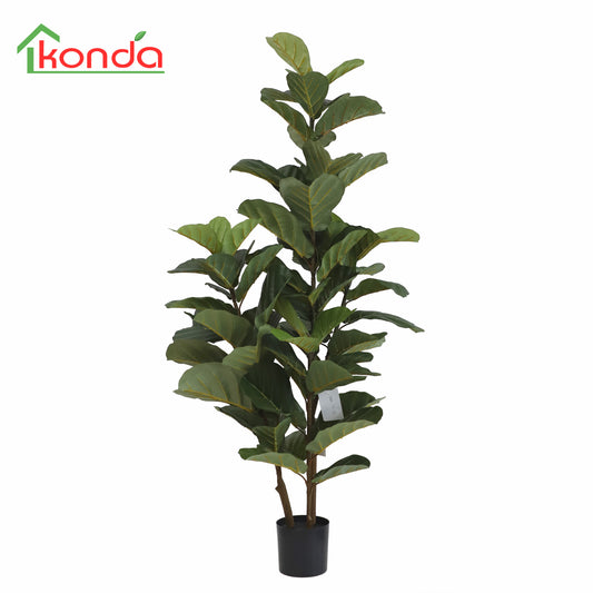 A618120-UV Fiddle tree H120cm