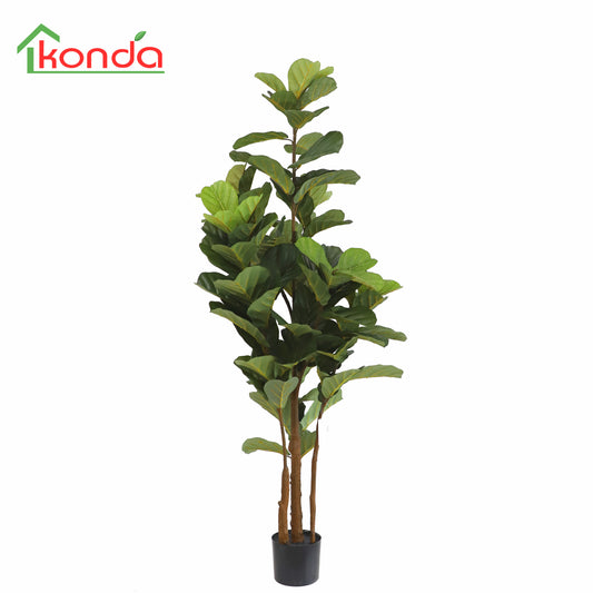 A619150-UV Fiddle tree H150cm