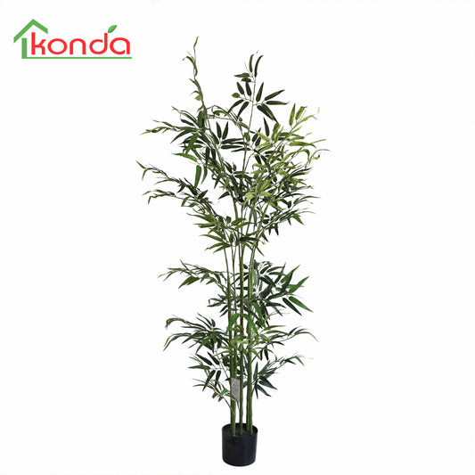 A800150-FR Bamboo H150cm