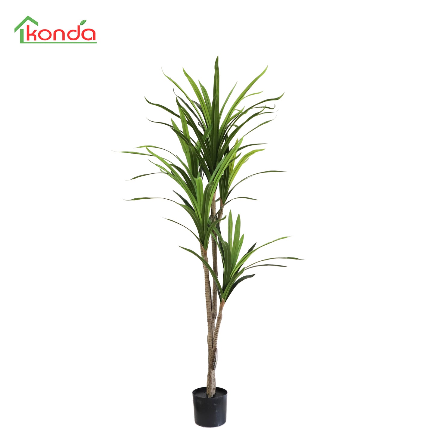 AB00150 Dracaena Fragrans H150CM