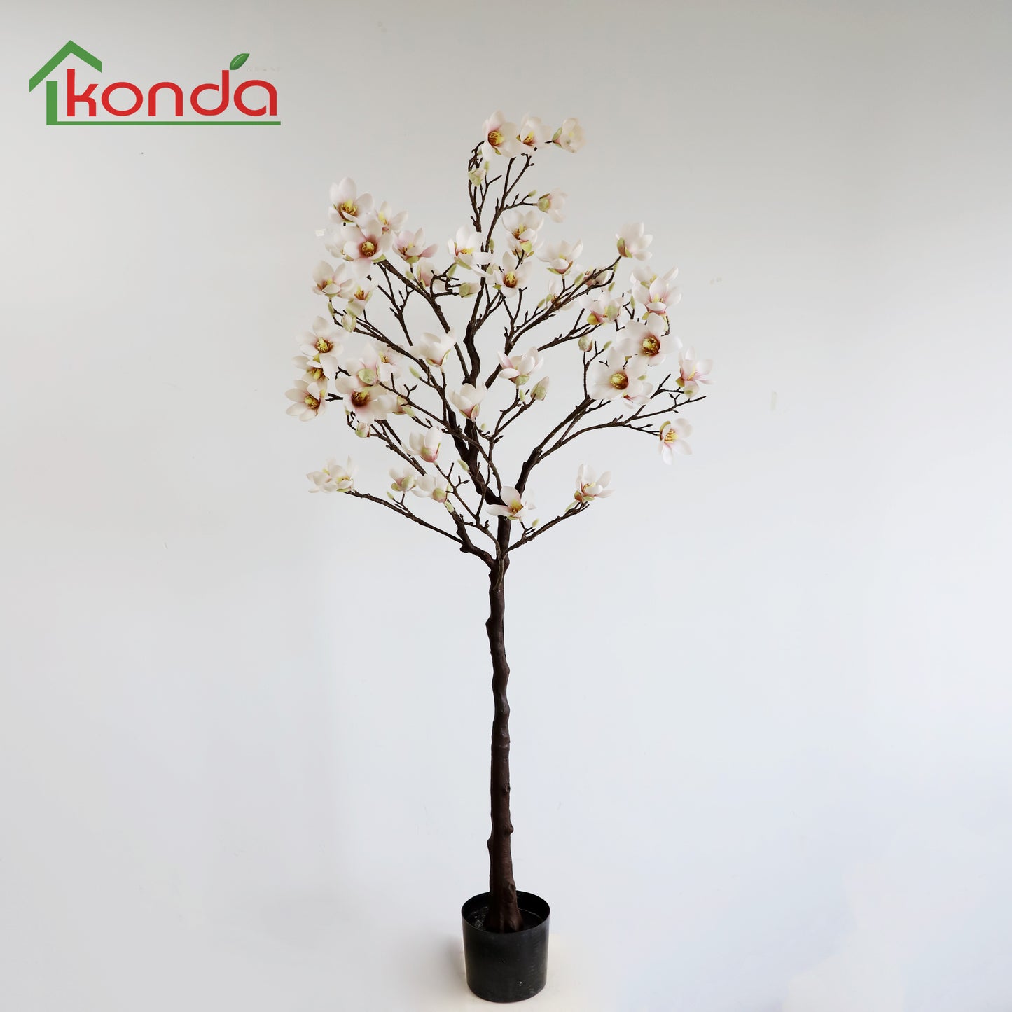 AD12160 Mangnolia H160cm