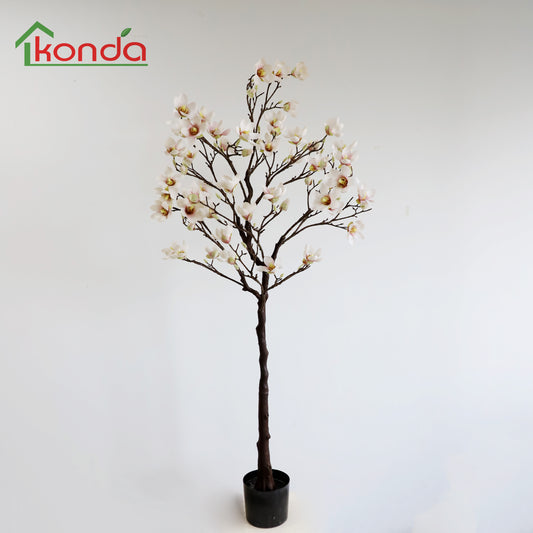 AD12160 Mangnolia H160cm