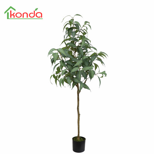 AJ07153 Eucalyptus H153cm