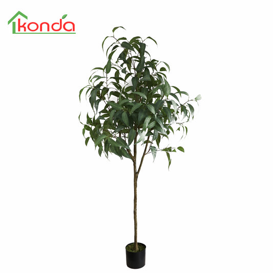 AJ08183 Eucalyptus H183cm