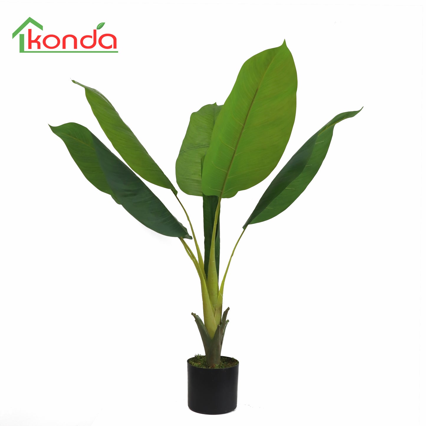 AZ45100 Spathiphyllum H100cm