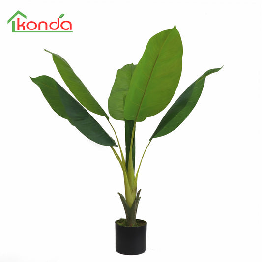 AZ45100 Spathiphyllum H100cm