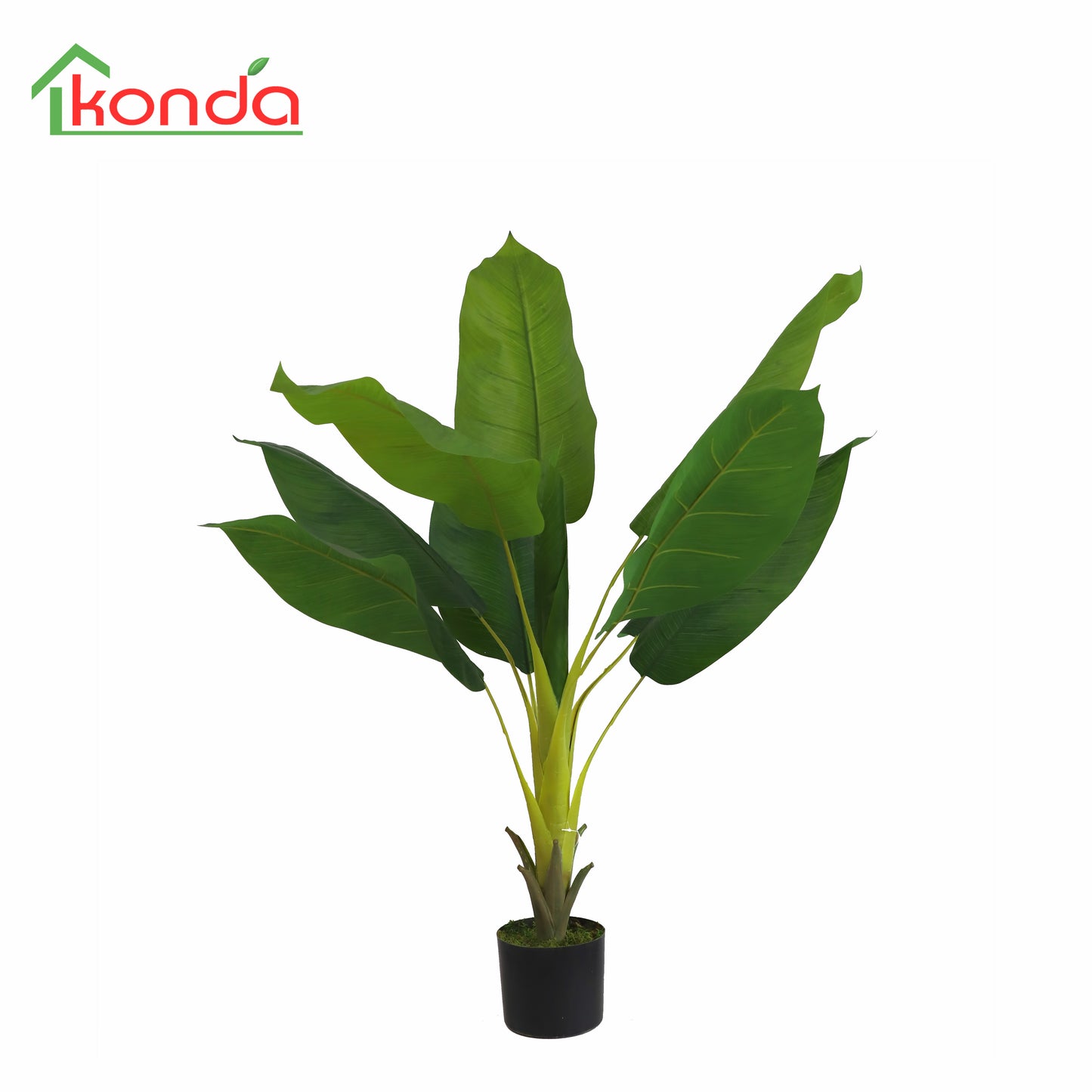 AZ46110 Spathiphyllum  H110cm