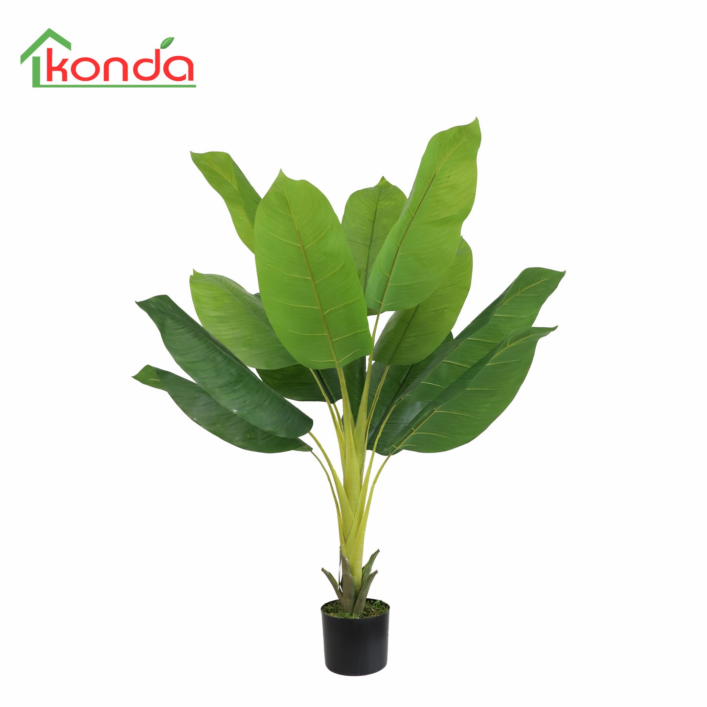 AZ47120 Spathiphyllum  H120cm