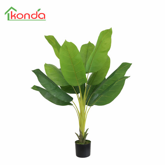 AZ47120 Spathiphyllum  H120cm