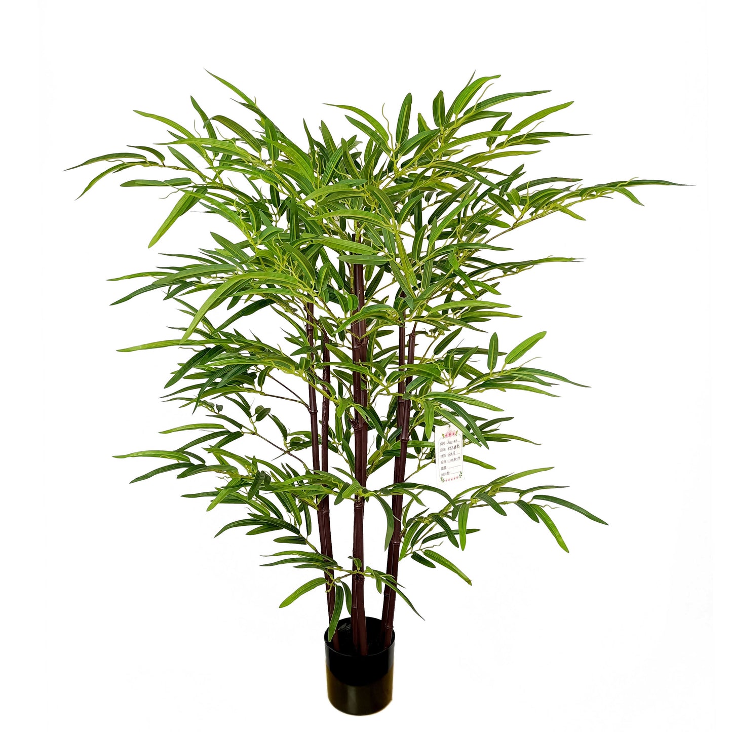 Bamboo-KA0222-H120cm-3.94feet