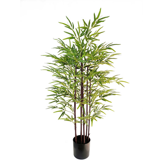 Bamboo-KA0223-H160cm-5.25feet