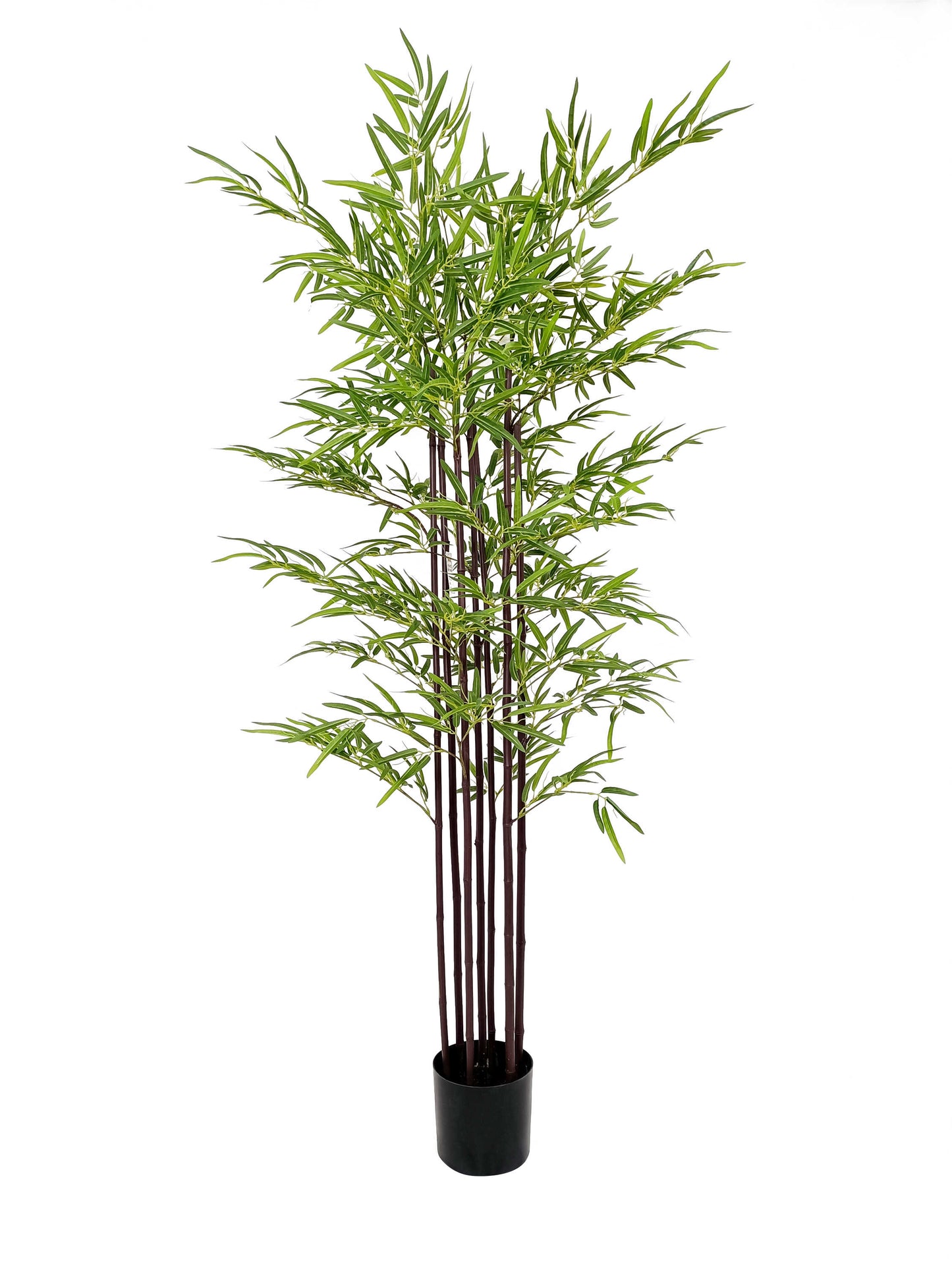 Bamboo-KA0224-H210cm-6.89feet