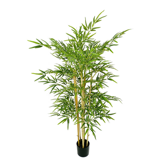 Bamboo-KA0240-H170cm-5.58feet