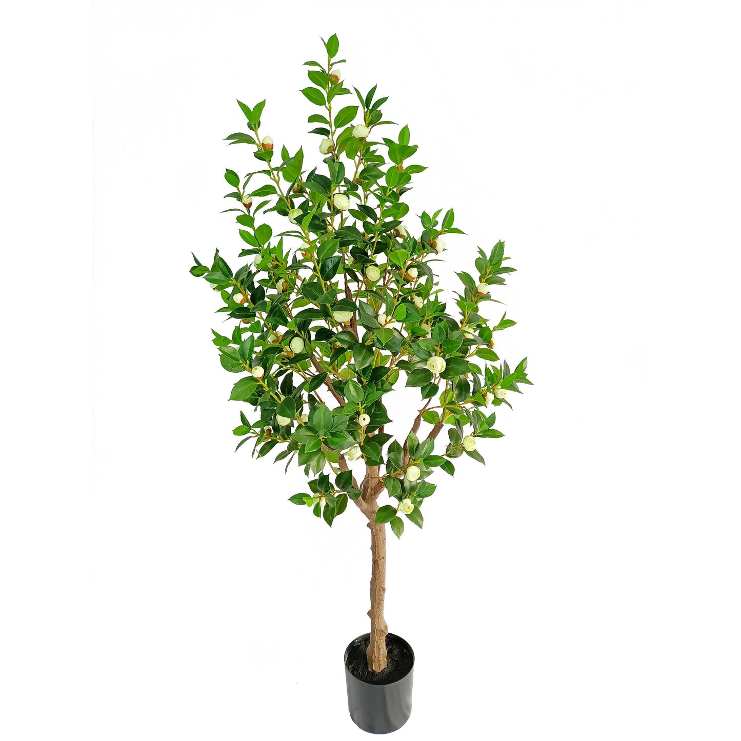Camellia-KA0235-H170cm